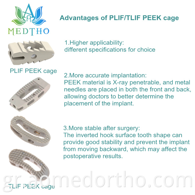 spinal implant